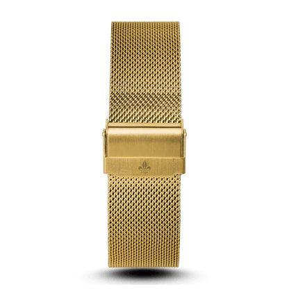 Gold Mesh Interchangeable Strap