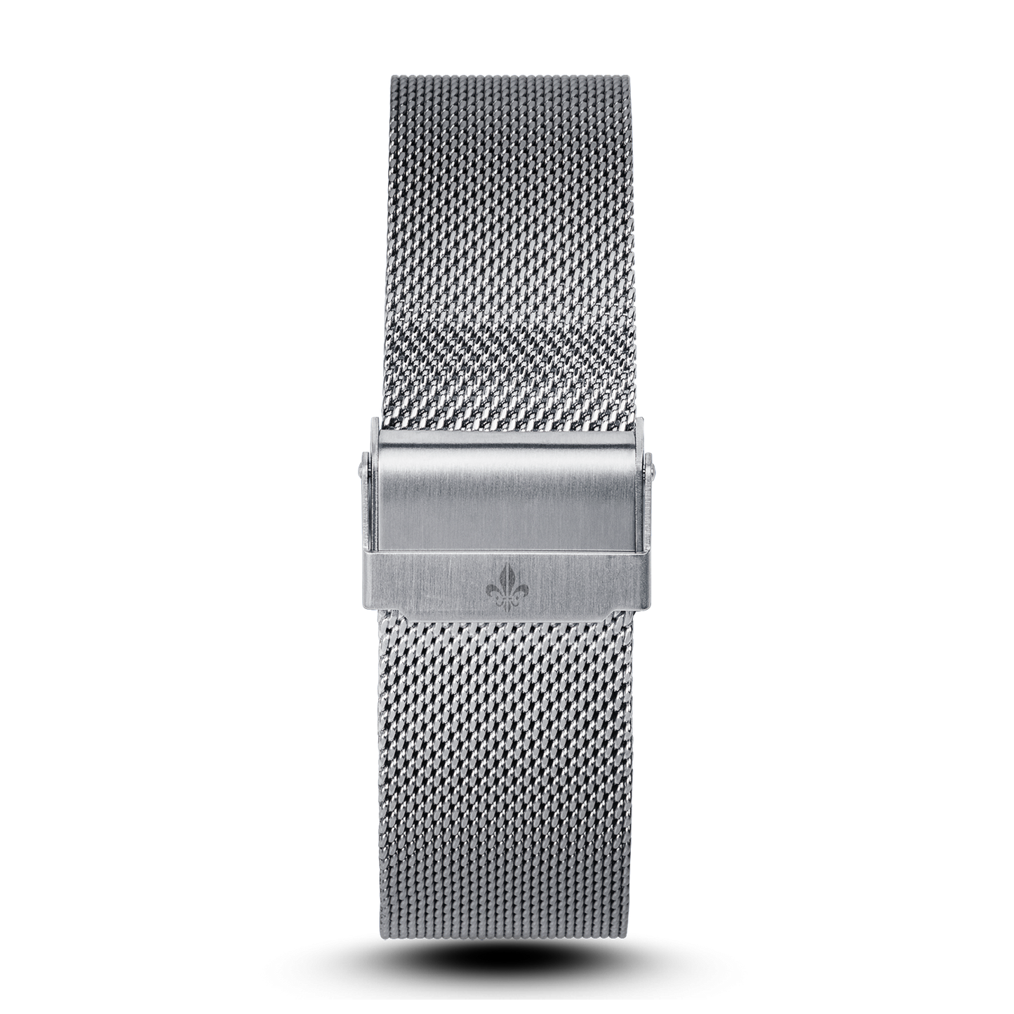 Silver Mesh Interchangeable Strap