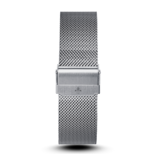 Silver Mesh Interchangeable Strap